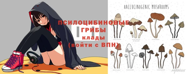 бошки Алзамай