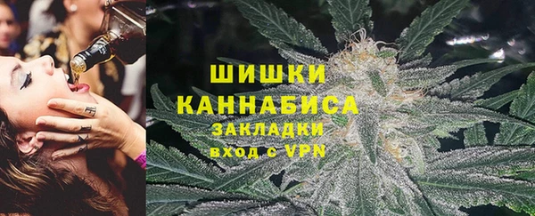 твердый Протвино