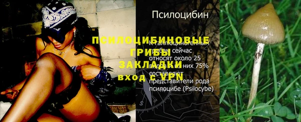 бошки Алзамай