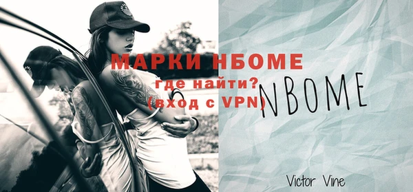 твердый Протвино