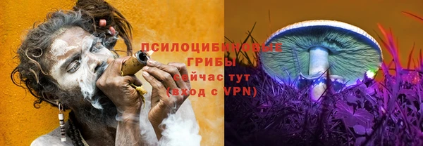 бошки Алзамай