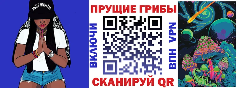 купить наркоту  Ардатов  Псилоцибиновые грибы MAGIC MUSHROOMS 